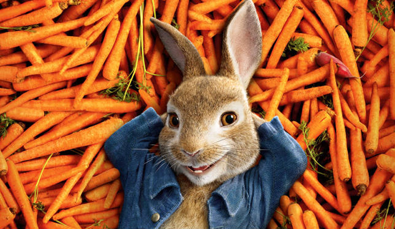 peter rabbit